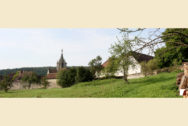 Kloster Bebenhausen von einer benachbarten Wiese aus fotografiert